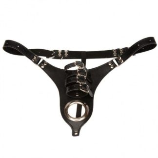 HW Chastity Strap On