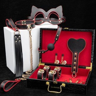 BDSM Kit With Case