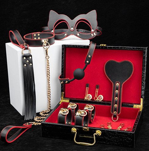 BDSM Kit With Case