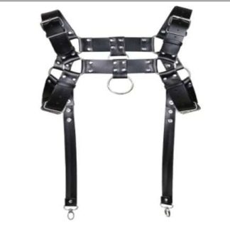 HW Shoulder Harness