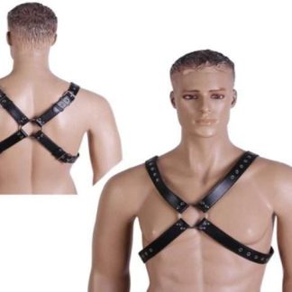 HW Harness #13