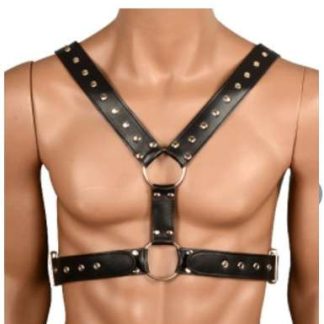 HW Harness #37