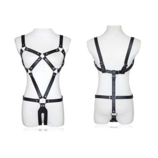 HW BODY & CROTCHLESS HARNESS